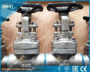 วาล์วประตู F51