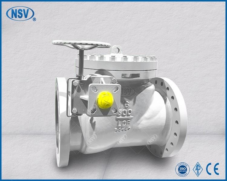 Bidirectional Sealing Check Valve best
