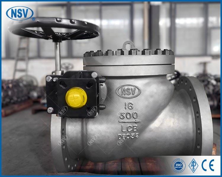Bidirectional Sealing Check Valve high quality