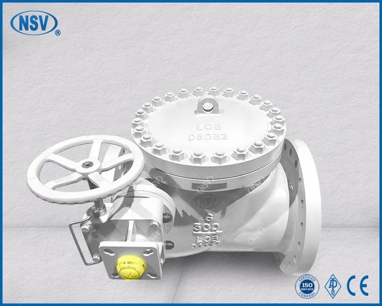 Bidirectional Sealing Check Valve factory