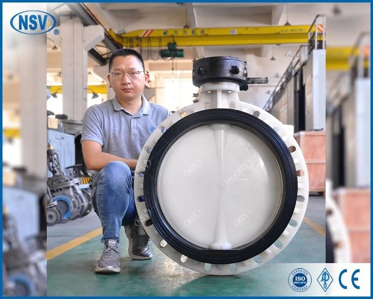 PVDF Concentric Butterfly Valve best