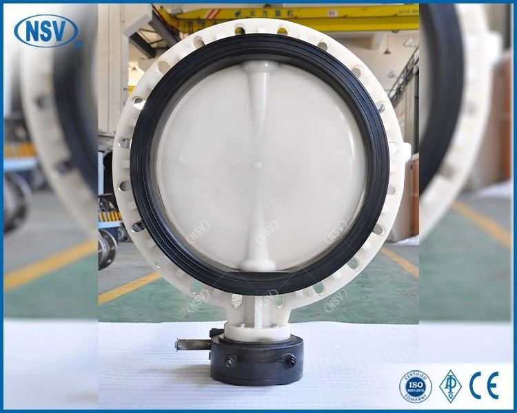 PVDF Concentric Butterfly Valve factory